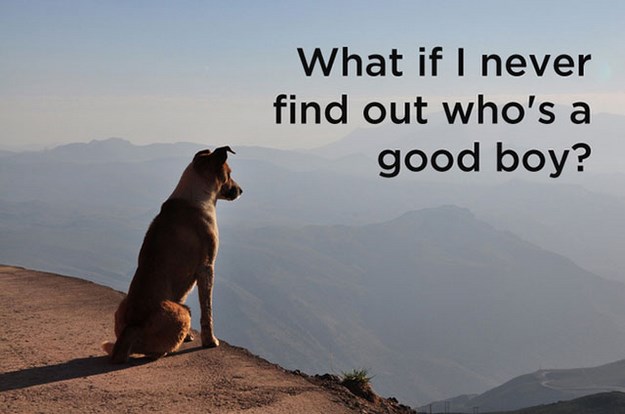 Funny-Thoughts-Of-The-Dog-019.jpg