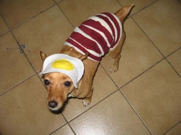 bacon-egg-betty-595.jpg