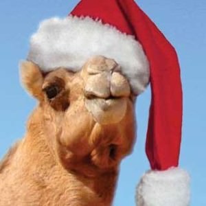 camel-santa-hat-2-e1387384890900.jpg
