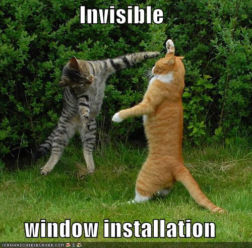 funny-pictures-cat-install-invisible-windows.jpg