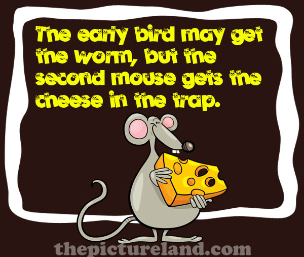 1310586805-Funny-Sayings-With-Picture-Of-Mouse-With-Cheese.jpg