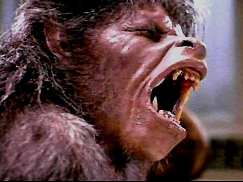 an-american-werewolf-in-london-image.jpg