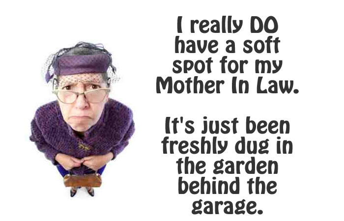21-Hilarious-Quick-Quotes-To-Describe-Your-Mother-In-Law-12.jpg
