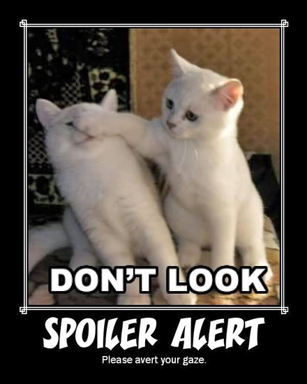 Spoiler-Alert-kittens.jpg