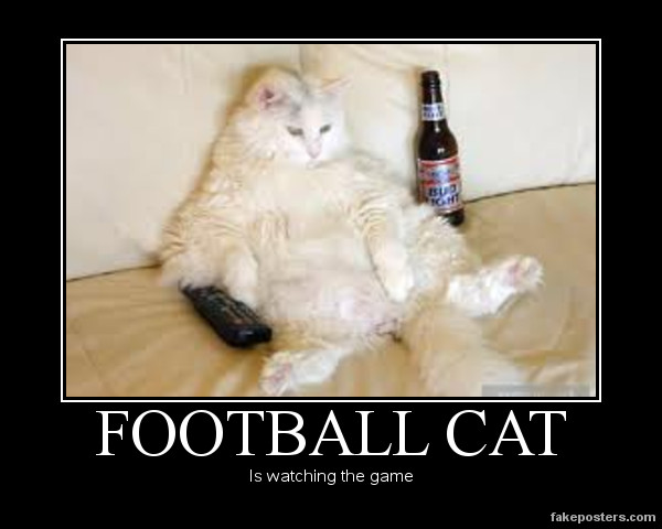 football_cat_by_tank93-d48i1ts.jpg