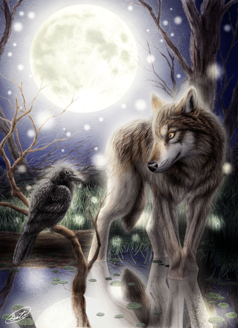 wolf__crow_by_sheltiewolf-d15nrky.jpg