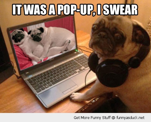 funny-porn-dog-pug-laptop-headphones-pics.jpg