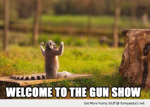 funny-monkey-lemur-flexing-muscles-welcome-gun-show-pics.jpg
