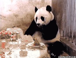 funny-panda-eating-shock-bill-check-animated-gif.gif