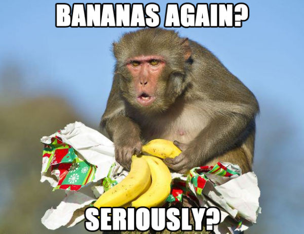 funny-angry-grumpy-monkey-xmas-christmas-present-bananas-again-seriously-pics-600x463.png