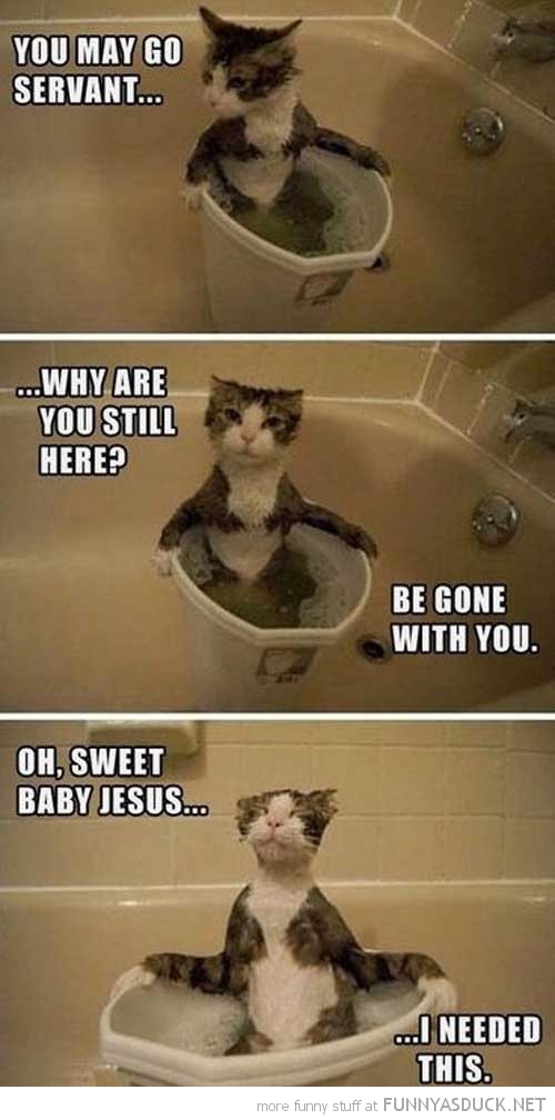 funny-cat-taking-bath-go-now-servant-pics.jpg