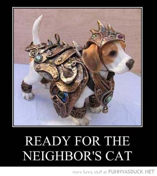 funny-ready-for-neighbors-cat-dog-animal-armor-pics.jpg