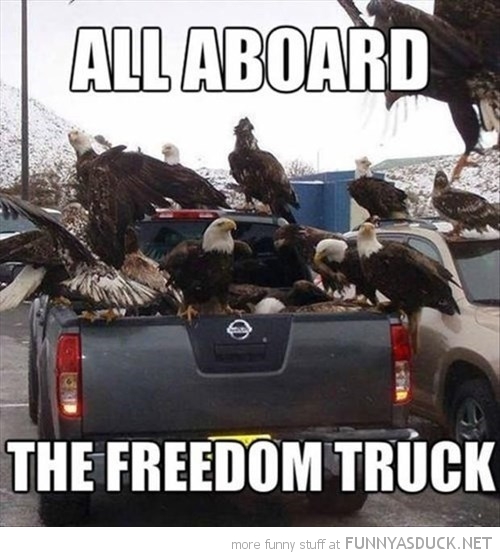 funny-pictures-eagles-car-all-aboard-freedom-truck.jpg