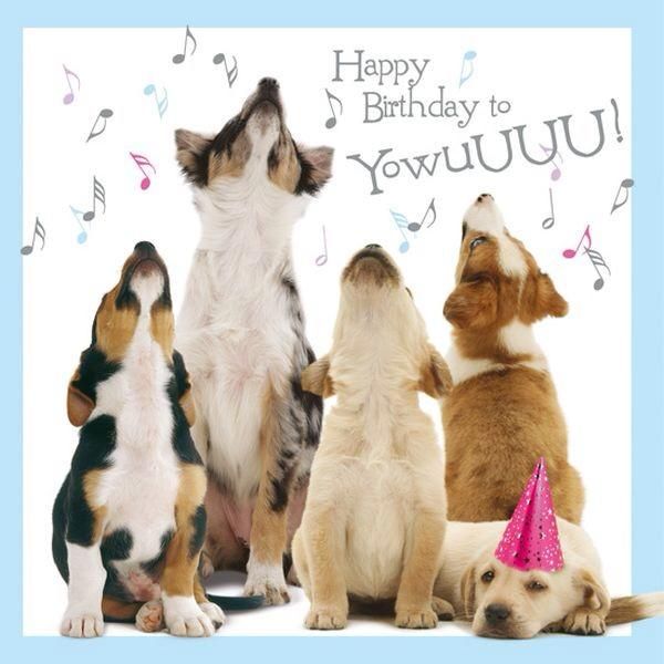 Dogs-Happy-Birthday-Birthday-Wishes-Cards-Messages-Greetings-And-Pics.jpg