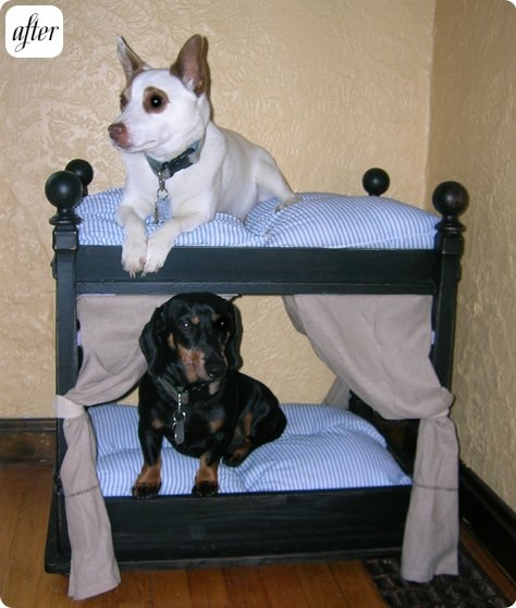 dog-bunk-beds-5.jpg