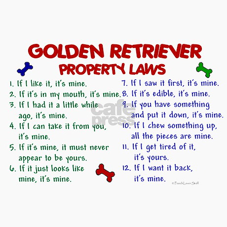 golden_retriever_property_laws_2_magnet.jpg