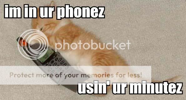 cat_phone.jpg