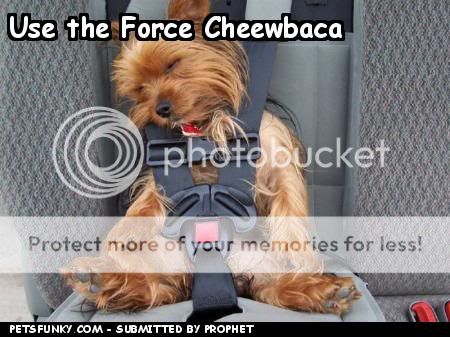 funny-pictures-use-the-force-cheewbaca.jpg