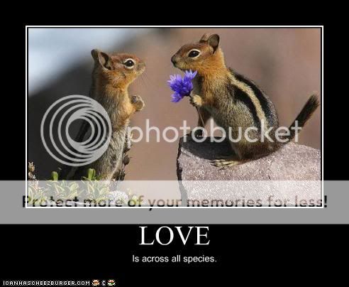 funny-pictures-chipmunks-have-love.jpg
