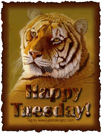HappyTuesday-Tiger.gif
