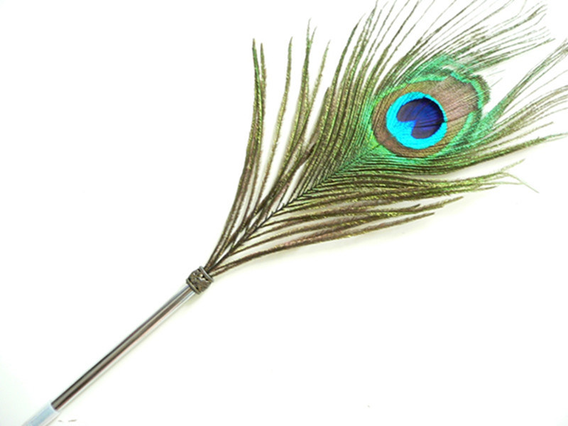 Fancy-Peacock-Feather-Ball-Pen.jpg