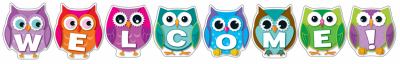 Colorful-Owl-Welcome-Bulletin-Board-Set-Carson-Dellosa-9781609968373.jpg