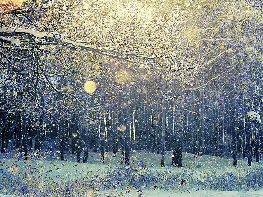 falling-snow-irina-ivanova.jpg
