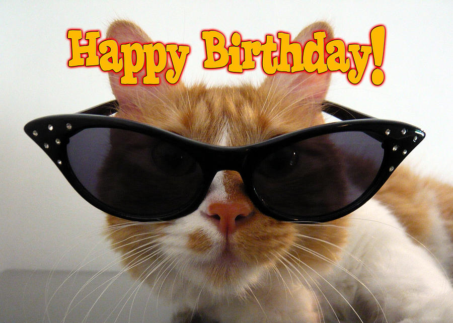 happy-birthday-cool-cat-michelle-dokos.jpg
