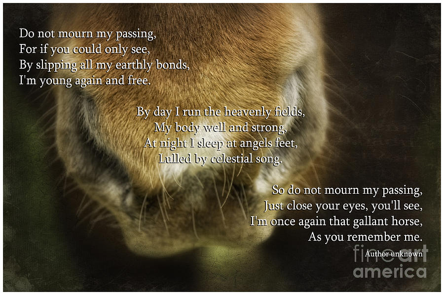 equine-sympathy-card-poem-sue-fulton.jpg