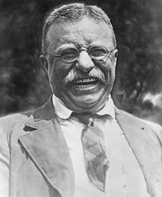 180px-Theodore_Roosevelt_laughing.jpg