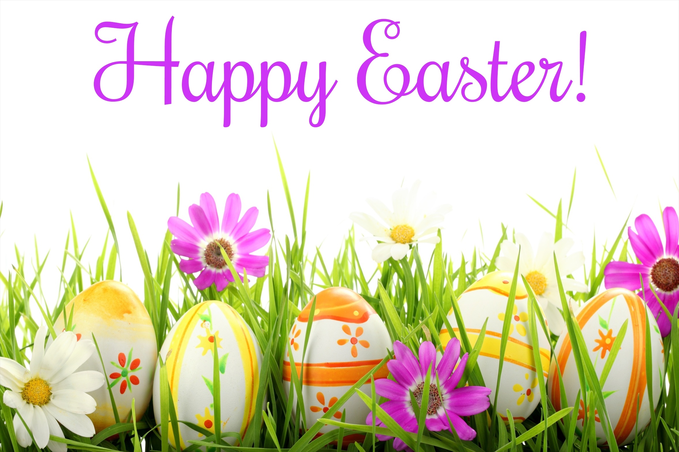 Happy-Easter-All-My-Fans-happy-easter-all-my-fans-34039483-2356-1571.jpg