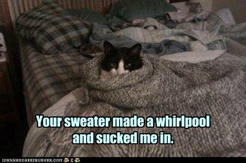 Yoursweatermadeawhirlpool.jpg