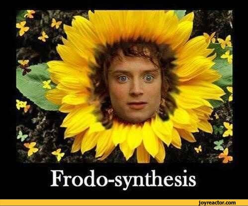 lord-of-the-rings-Frodo-funny-funny-pictures-817181.jpeg