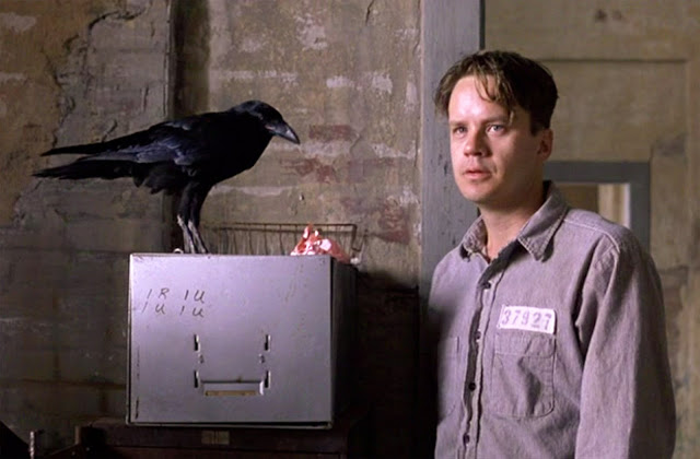 Shawshank-jake-crow.jpg