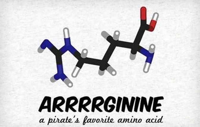 dna-amino-acids-pirate-arrrrginine.jpg