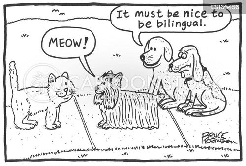 animals-cat-linguist-languages-translators-meows-brin128_low.jpg