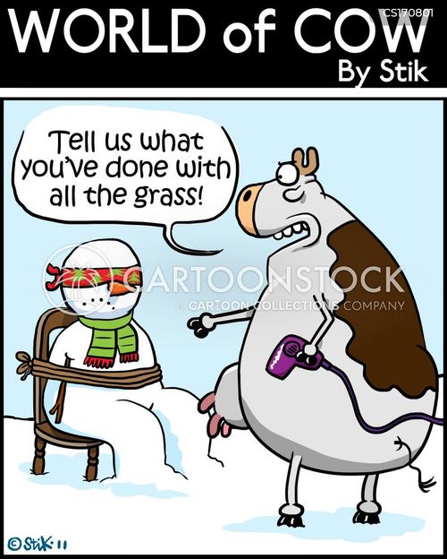 weather-cow_cows-snowmen-snow-snowing-interrogate-bgrn2418_low.jpg
