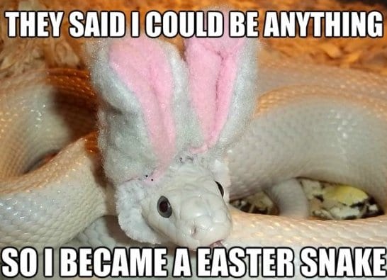 -Funny-Easter-Snake-MEME-Jokes-2014.jpg
