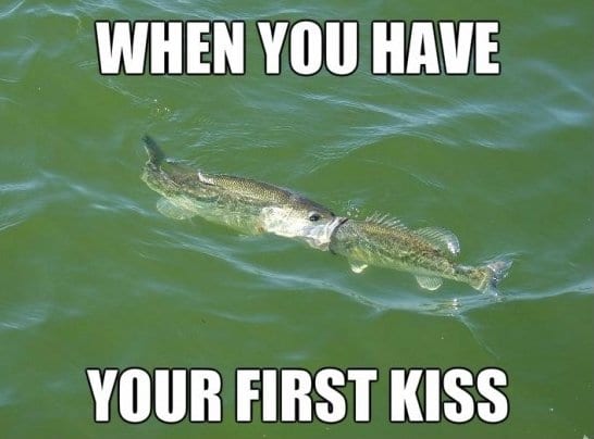 -Funny-MEMES-First-kiss-MEME.jpg