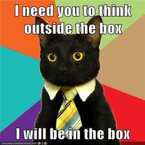 glad-to-see-you-business-cat-44995.jpg