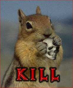 killersquirrel.jpg