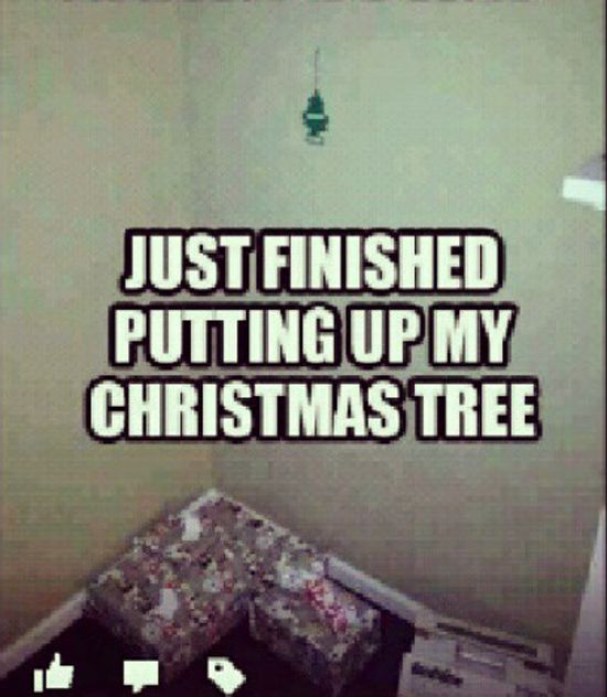 Just-finished-putting-up-my-christmas-tree-Tree-Meme.jpg