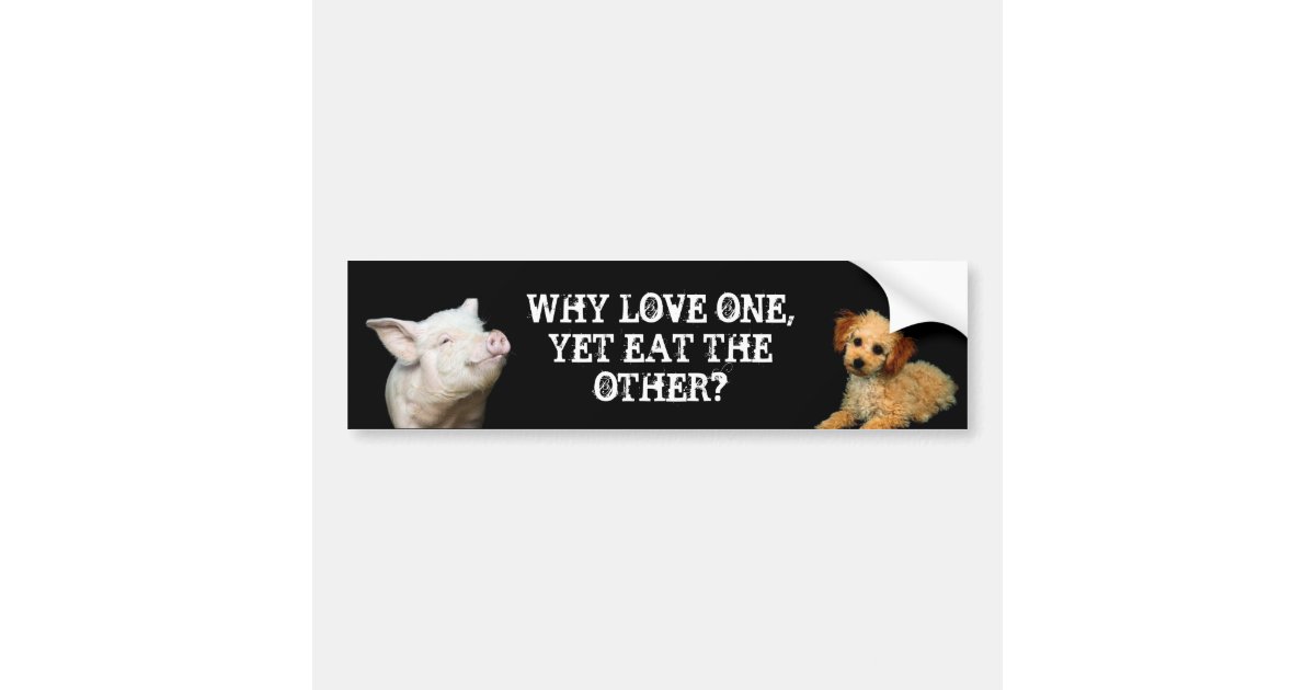 why_love_one_yet_eat_the_other_pig_poodle_bumper_sticker-r33544d42e7564e7ba65148aac046f7c7_v9wht_8byvr_630.jpg
