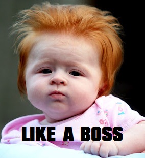 Ginger-Boss.jpg