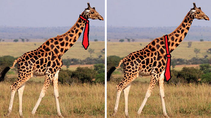 how-giraffes-wear-ties-1-1.jpg