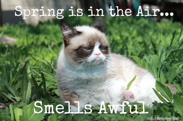 grumpy-cat-spring.jpg