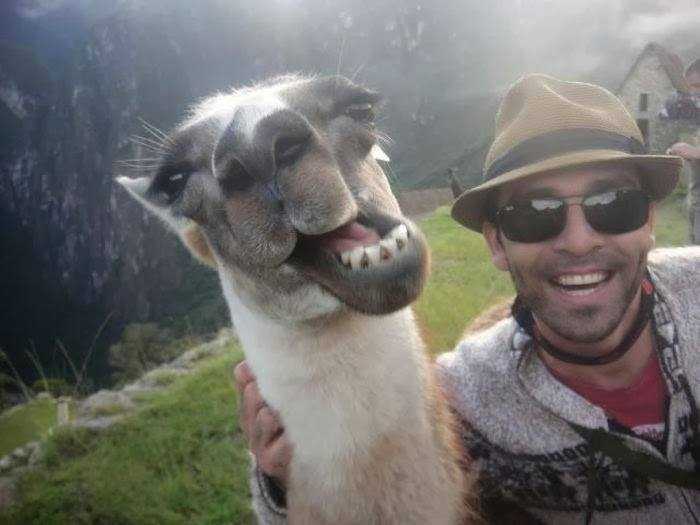 Funny-Animal-Selfies-71.jpg