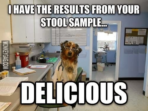 the-results-of-your-stool-sample-are-in.jpg