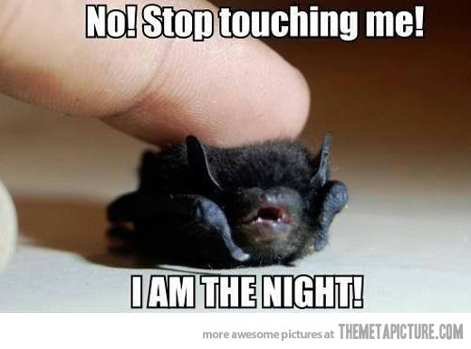 Funny-bat-cute-baby.jpg
