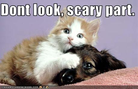 funny-pictures-kitten-and-puppy-watch-a-scary-movie-together.jpg